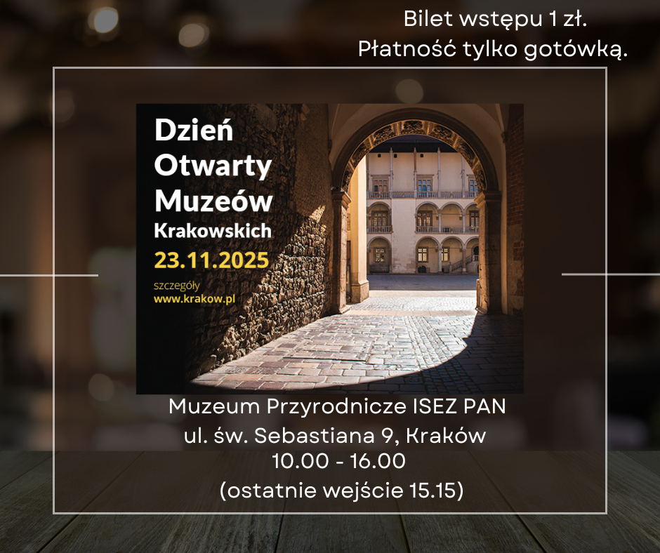 Plakat Dzień Otwarty Muzeów Krakowskich