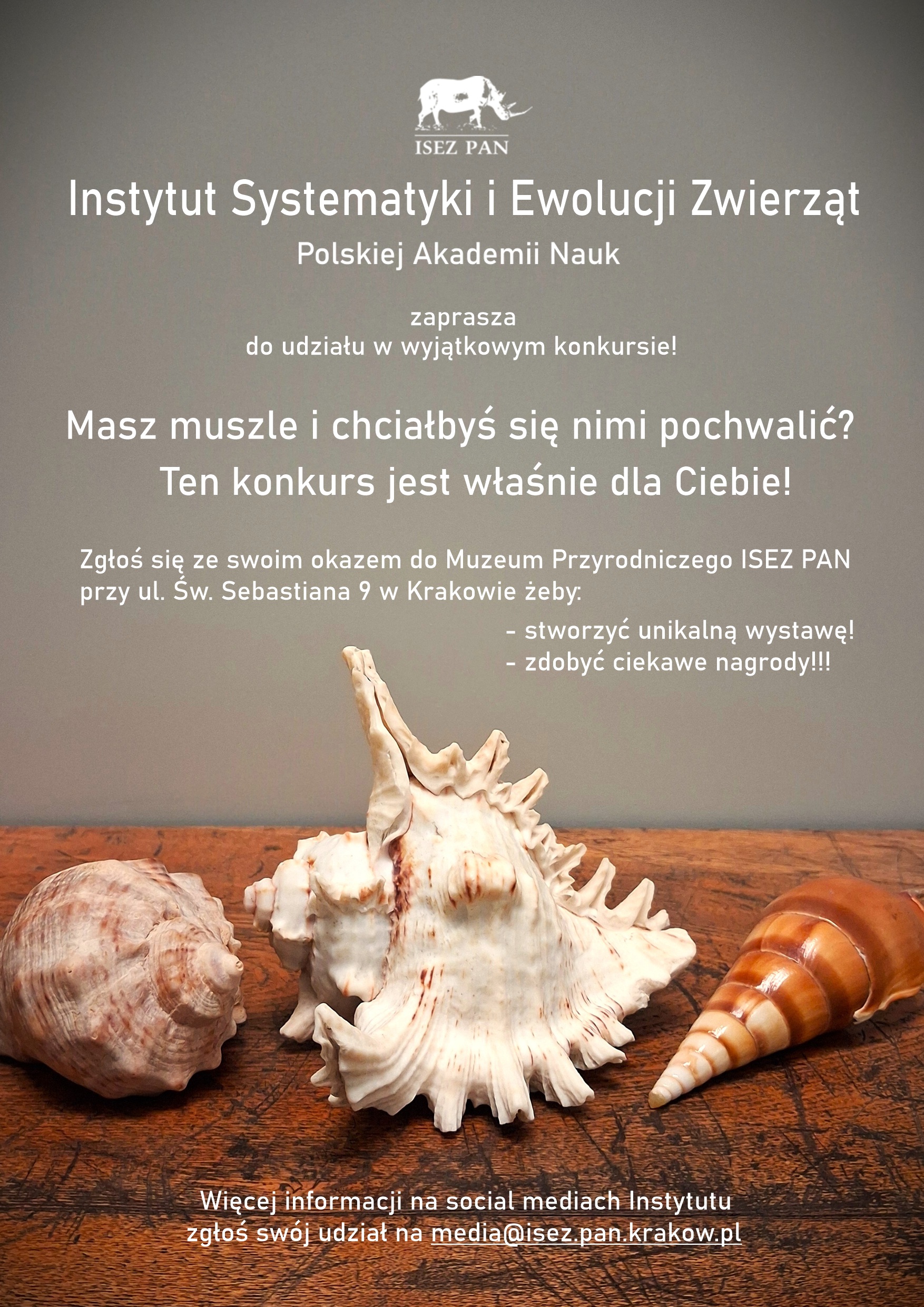 Plakat konkursu muszlowego