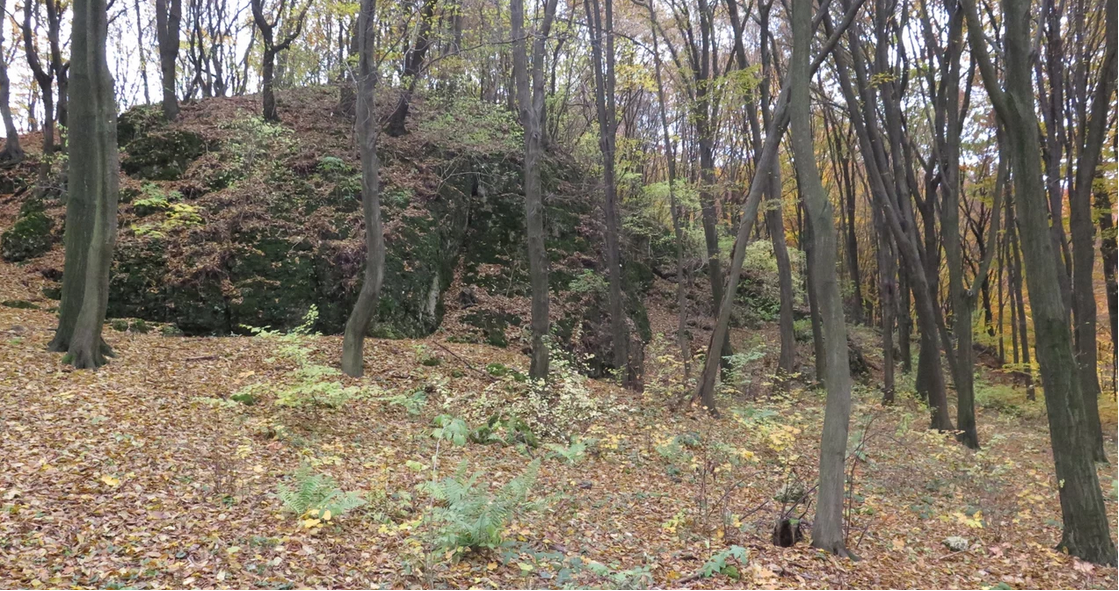 2016 jaskinia borsuka.PNG